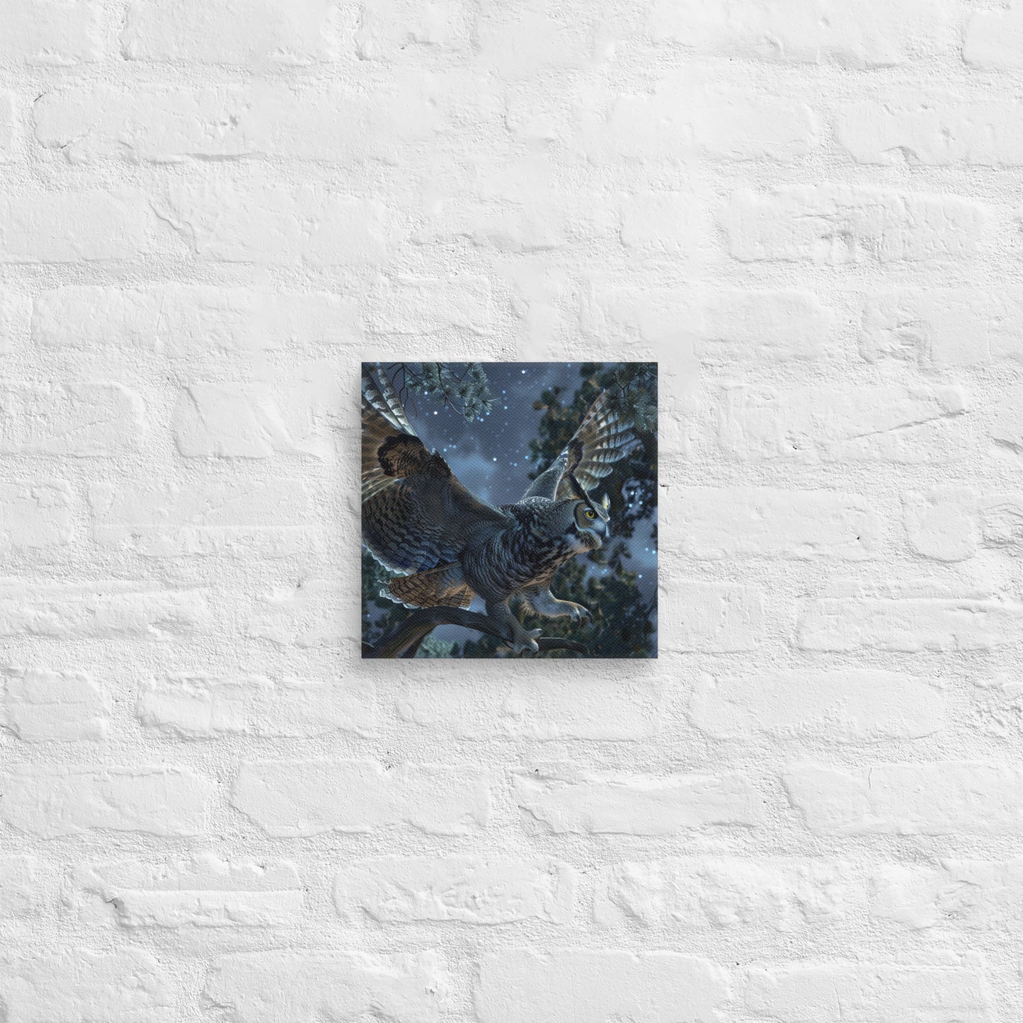 Contemplating Owl Canvas Print