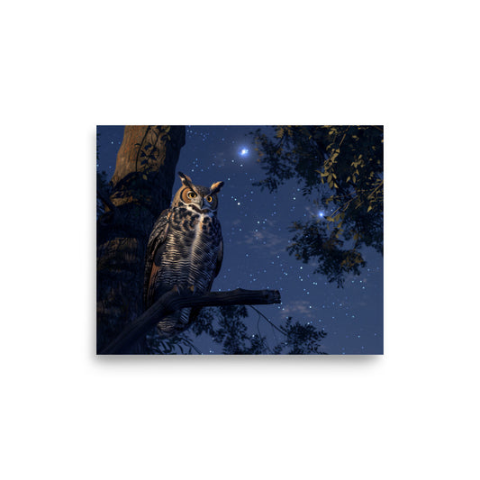 Great Horned Owl Perched at Night Poster